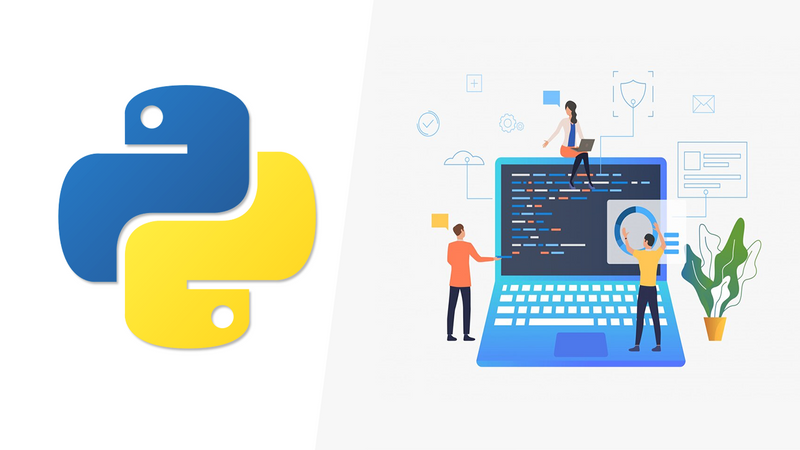 Python Coding Intermediate: Python Classes, Methods, and OOPs